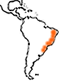 Mappa di distribuzione della Callithrix jacchus